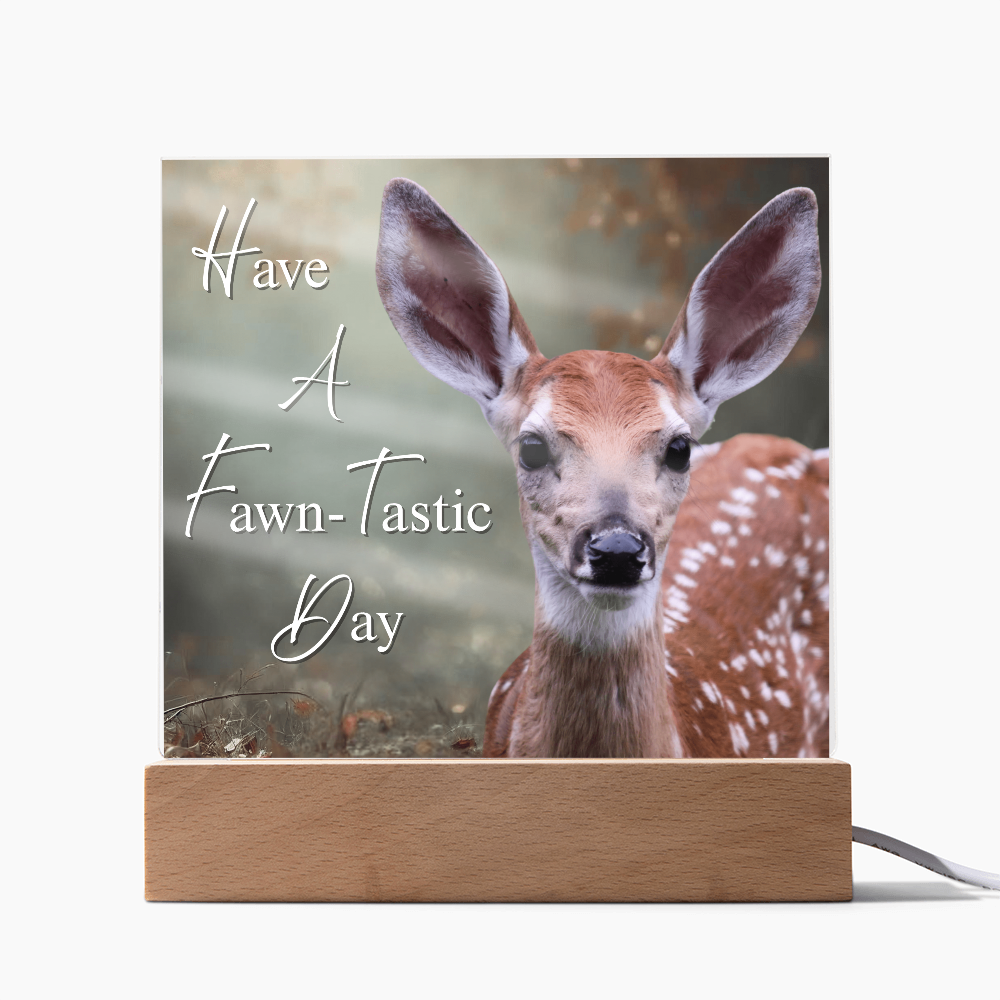 'Fawn-Tastic Day' Deer Square Acrylic Plaque - Light Up