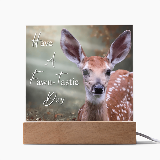'Fawn-Tastic Day' Deer Square Acrylic Plaque - Light Up