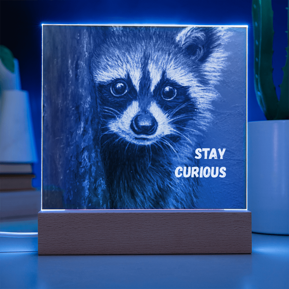 'Stay Curious' Raccoon Square Acrylic Plaque - Light Up