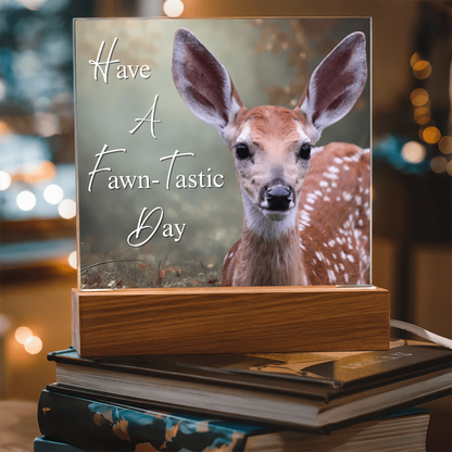 'Fawn-Tastic Day' Deer Square Acrylic Plaque - Light Up