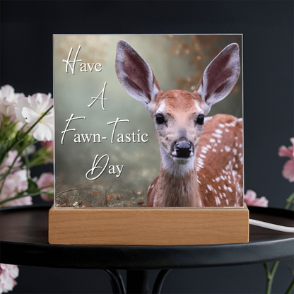 'Fawn-Tastic Day' Deer Square Acrylic Plaque - Light Up