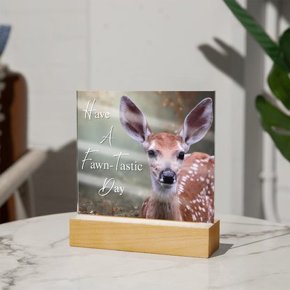 'Fawn-Tastic Day' Deer Square Acrylic Plaque - Light Up