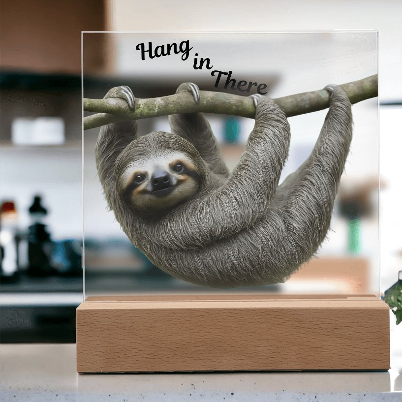 'Hang in There' Sloth Acrylic Square Plaque - Light Up