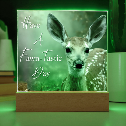 'Fawn-Tastic Day' Deer Square Acrylic Plaque - Light Up