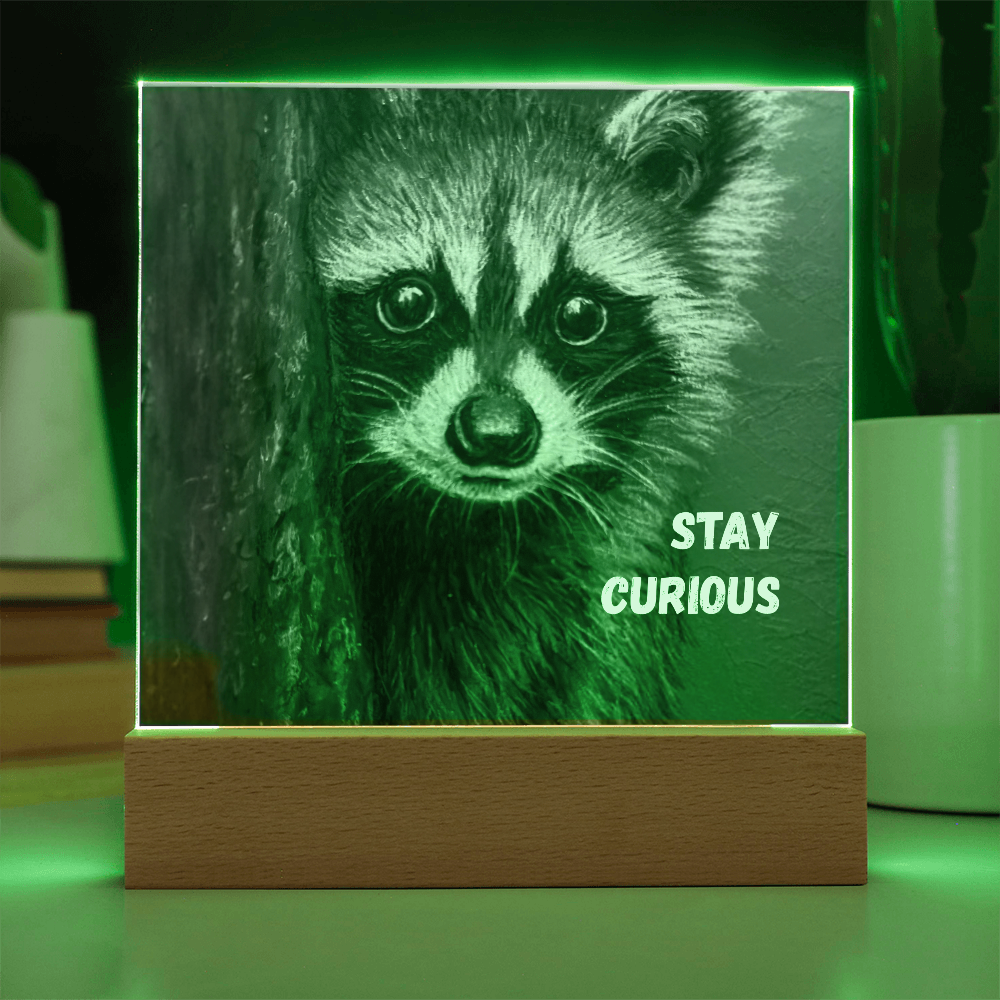 'Stay Curious' Raccoon Square Acrylic Plaque - Light Up