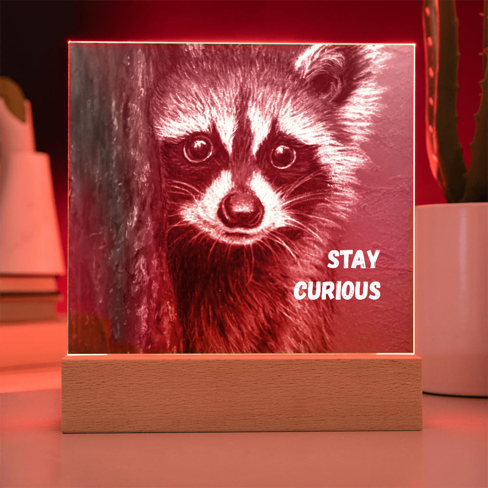 'Stay Curious' Raccoon Square Acrylic Plaque - Light Up